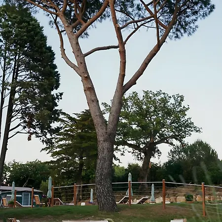 Podere Scoldasu - Apollo Farm stay
