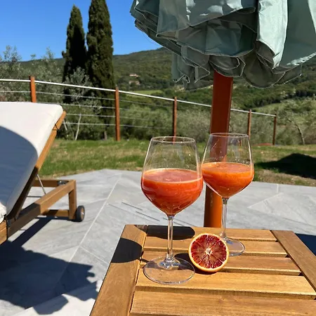 Farm stay Podere Scoldasu - Apollo
